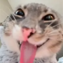 justinxd2010's Avatar