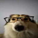 craziestrapper