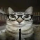 catrex_1