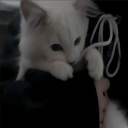 avatar alekz