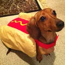 kennyyrust