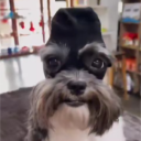 avatar MysticFlame1205