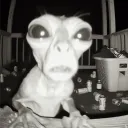 maxiabc