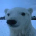 llunaecy