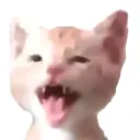 lolian0040_52171 avatar