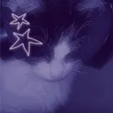test_bendfreakmeat