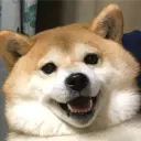 duski_
