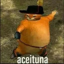 arrosconpapasypollito avatar