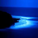 bleuble