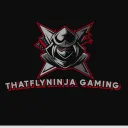 thatflyninjagaming