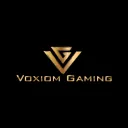 voxiomgaming1