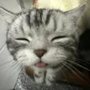 meloncholic.webm