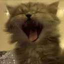 meloncholic.webm