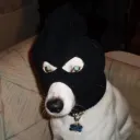 waffleslul