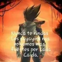 desaparecidoo