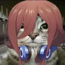 kitokyto