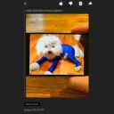 woofdoi