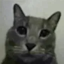 thebiggest_fish avatar