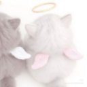 avatar 𝓜𝓮𝓵𝓪𝓷𝓲𝓮