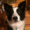 avatar 𝑨𝒍𝒆𝒙 🦂