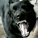 avatar 𝑫𝒖𝒔𝒌.