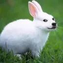 aiusfghasehf0hfargub