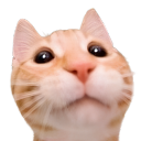 baixxo_mods
