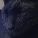 0vexxx0