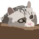 Аватар xomas10