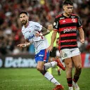 vitinleao
