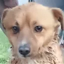 ricardosigma19_53879 avatar