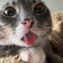 avatar senseless being