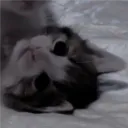 Аватар sarfik74