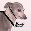 homingdevice