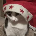 mr_raccoon51262