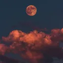 fordixf15