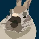 speedypan.