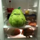 therealsquash1
