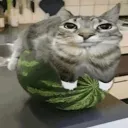 auralol0649_86201 avatar