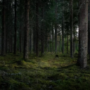 avatar ‱⁂⁙‥⁾♪!"321Dawd34sdFFwwe