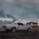 silva_superbee