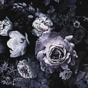 _gothic.rose_