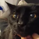 fancuadradou_08599 avatar