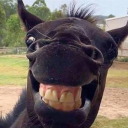 avatar eeeeeezzzzzzzzzzzzzz