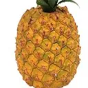 pineapples9270