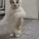 575865
