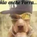 troquei_123