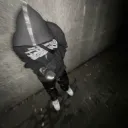 dontwannaseeurcry
