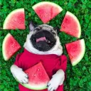 Аватар arbyz_.