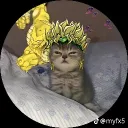 pequesito321_92464 avatar